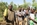 Schulung Agro-Ökologie Mali